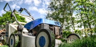 Preserving Your Lawn: Effective Strategies for Drought Protection Preserving Your Lawn