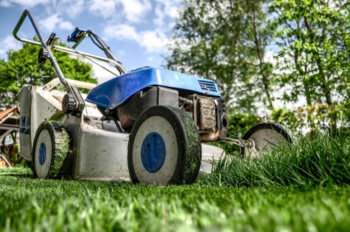 Preserving Your Lawn Preserving Your Lawn